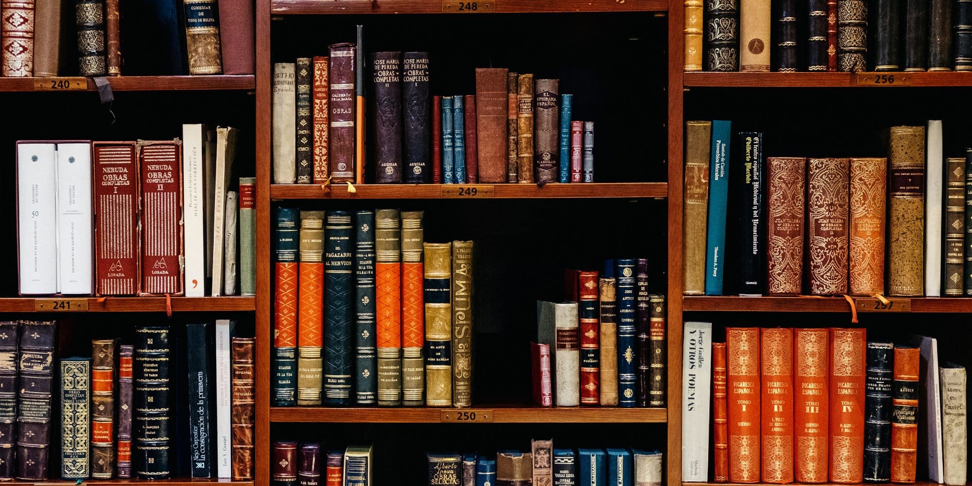 Diverse collection of English books on wooden shelves, with various sizes and bindings, displaying intricate designs and titles.