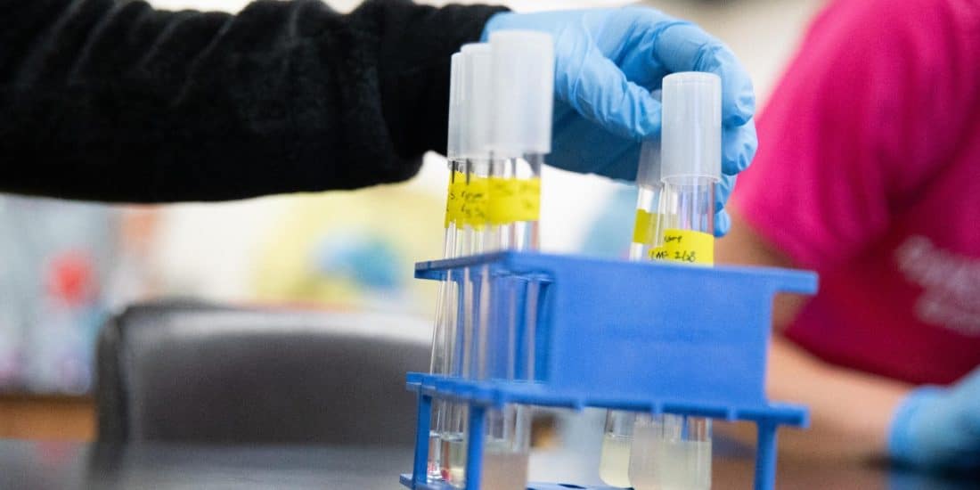 A students hand picking up test tubes in a Randolph-Macon lab.