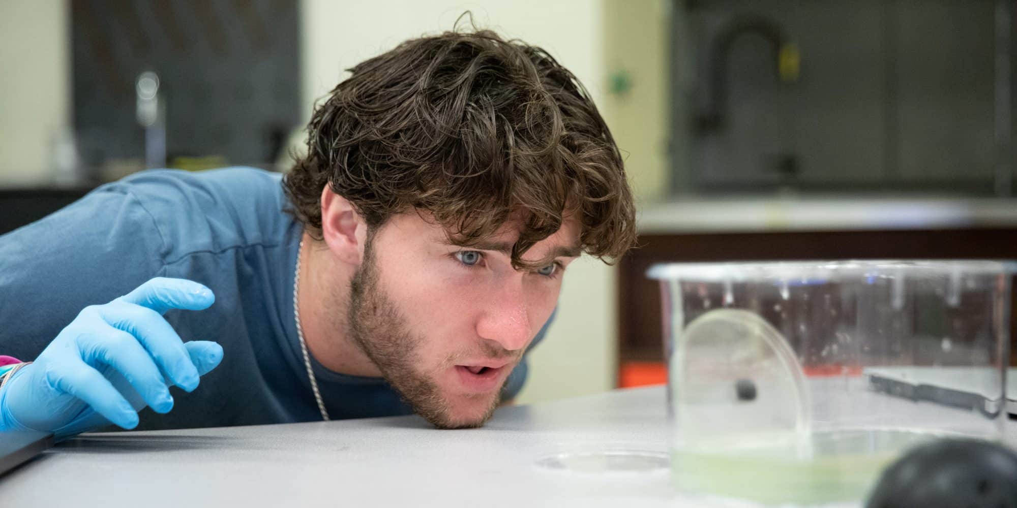 Randolph-Macon College student observing in a lab