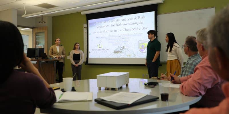 Randolph-Macon Environmental studies College students during a Beetle presentation.