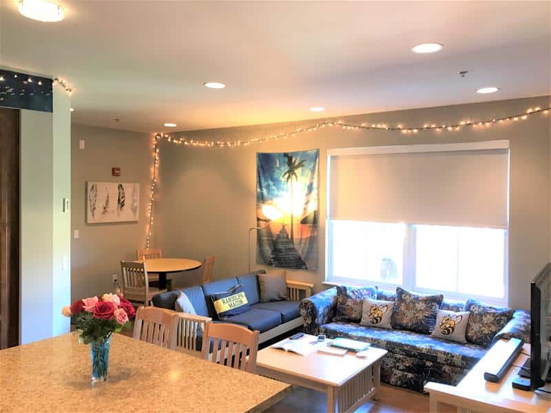 a furnished living room in an apartment in Birdsong Hall