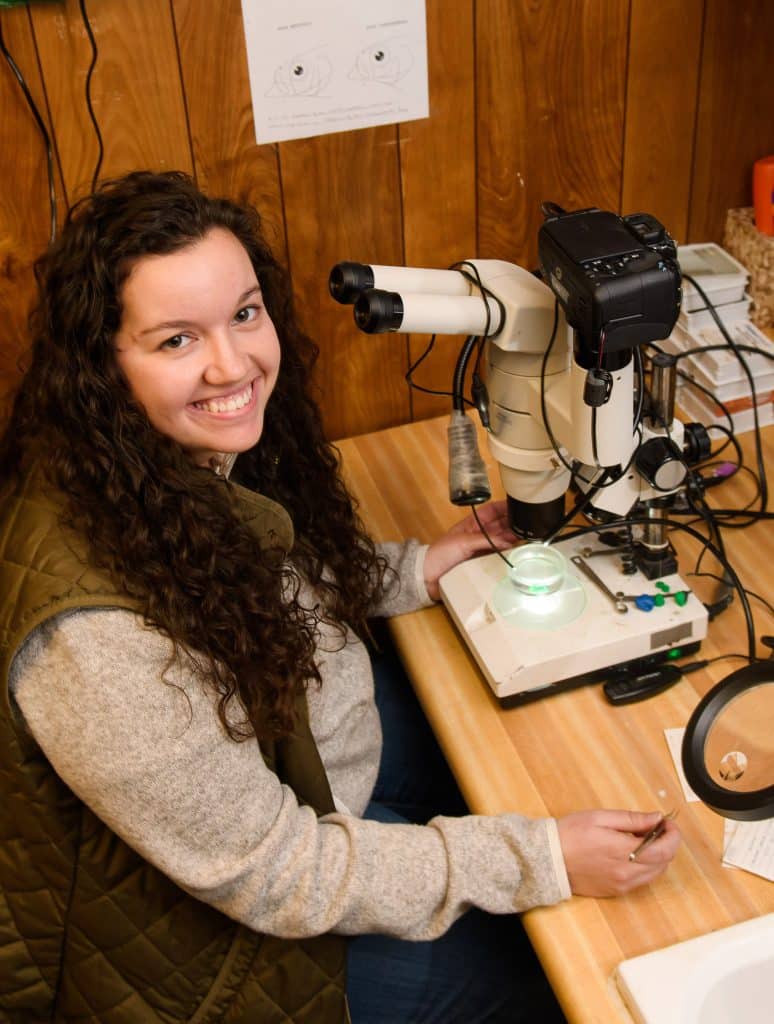 A woman conducting an academic internship observes specimens under a microscope at a table.