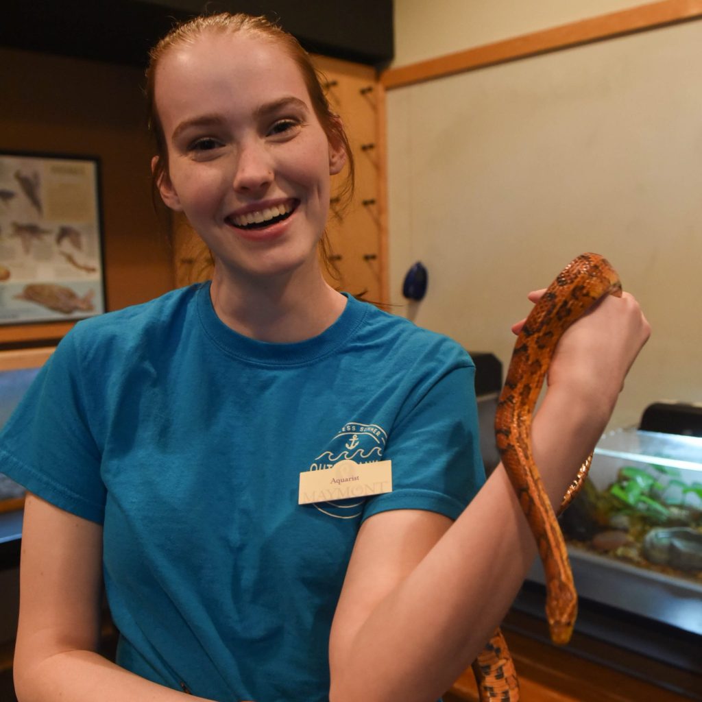 Sarah Mayberry holding a snake