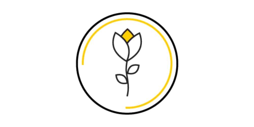 A yellow flower in an oval shape.