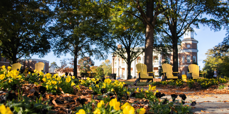 Yellow flowers and fallen leaves grace the foreground, while yellow chairs invite rest under trees in the background. Beyond, a brick building with a clock tower stands as a beacon of education.