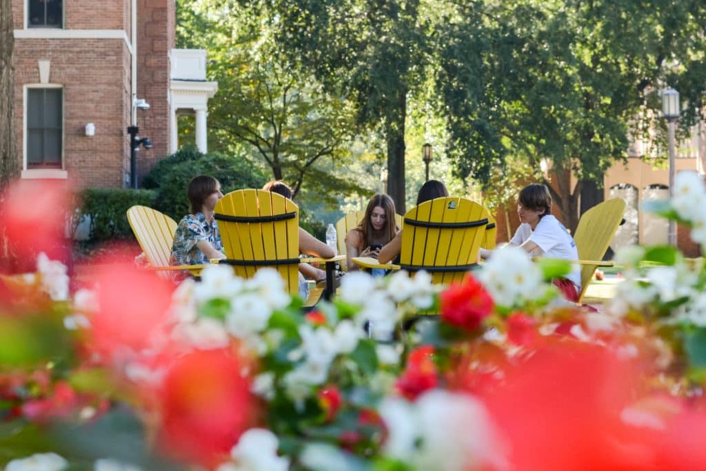 A group of students sitting in chairs in front of flowers.