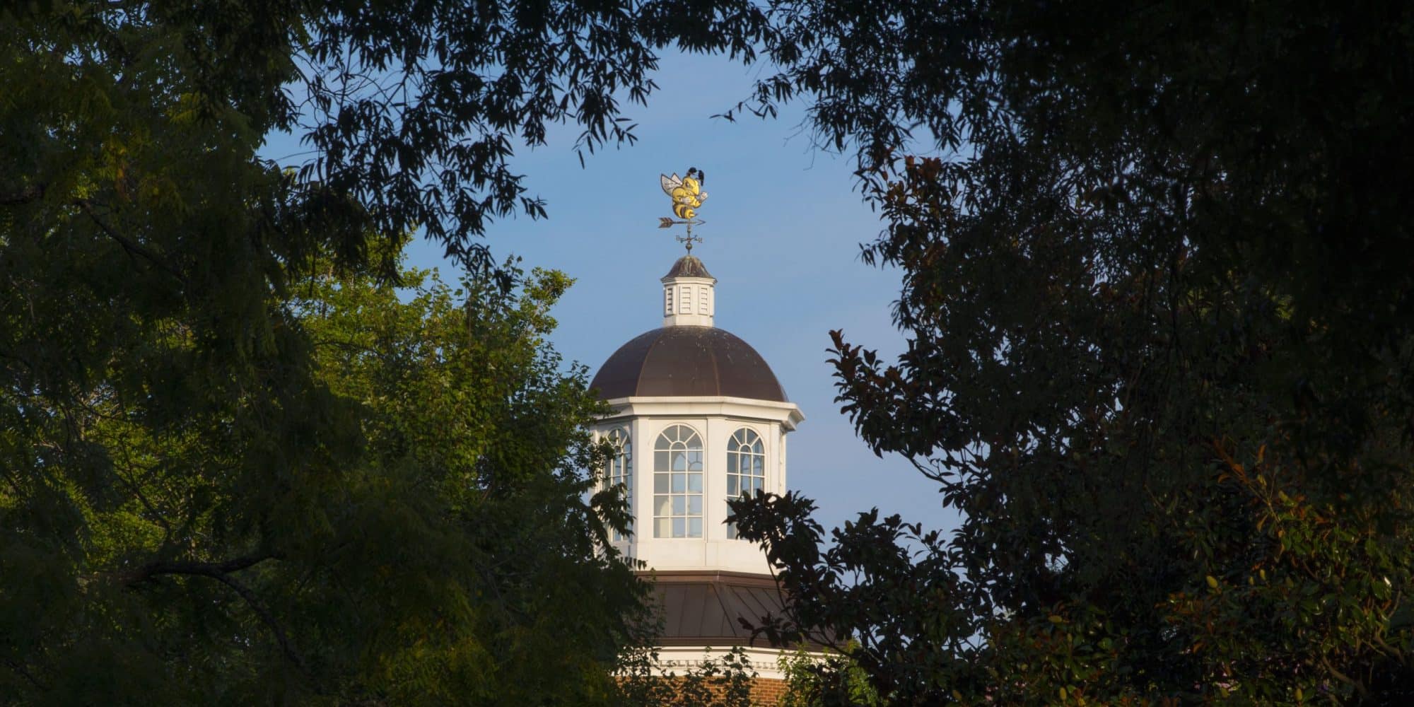 The Brock Common Cupola is visible between tree branches