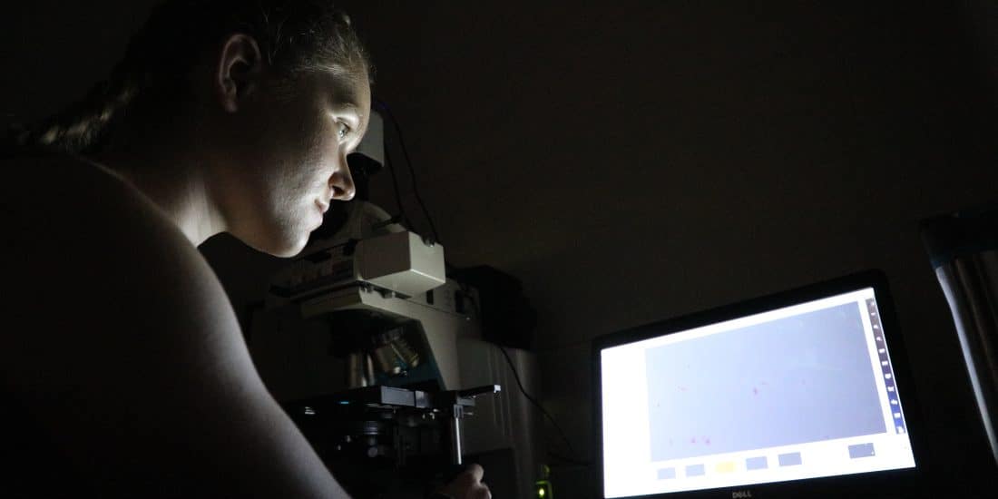 A person looks through a microscope, with a laptop displaying a related image beside them in a dimly lit room.