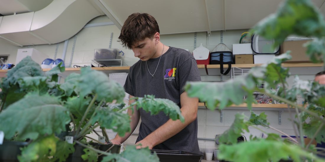 RMC student examines plants in lab