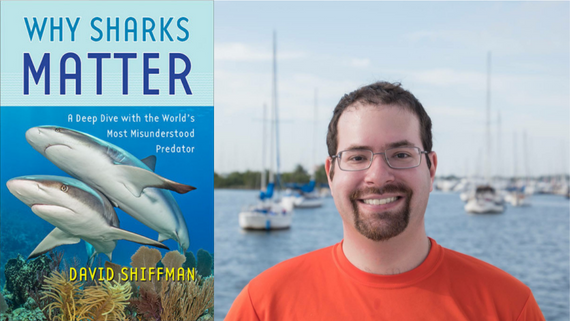 An event graphic featuring a phot of Dr. David Shifman and the text "Why Sharks Matter"