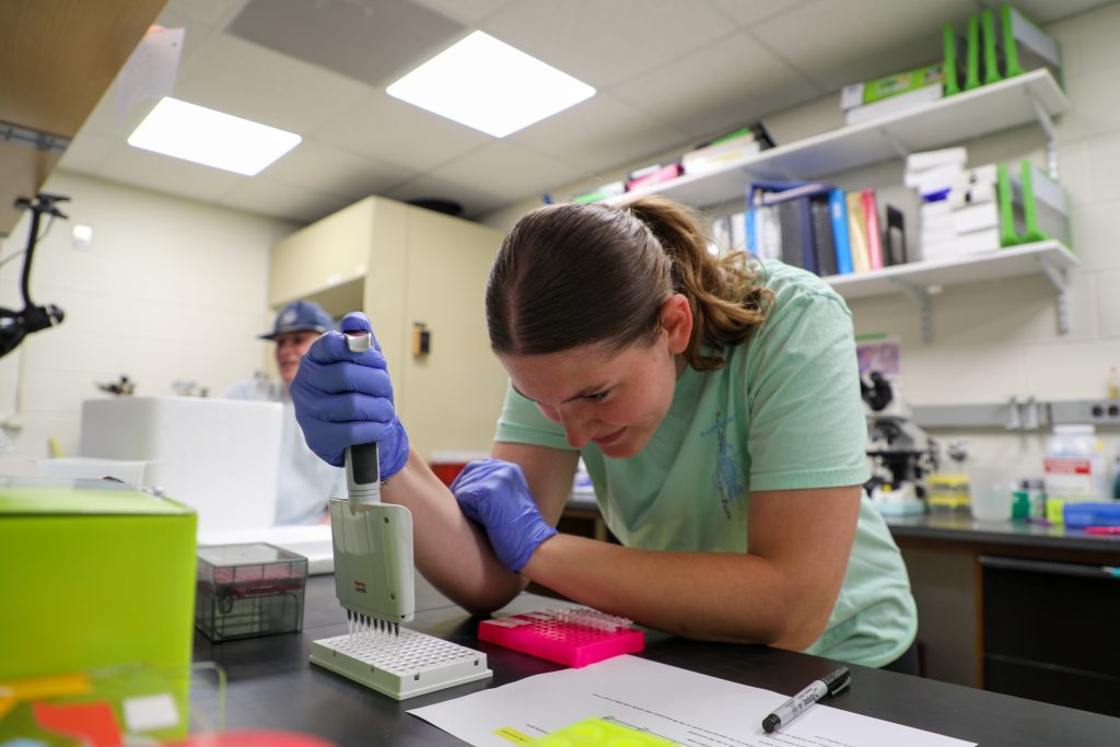 A student focuses on pipetting inside a Biology lab