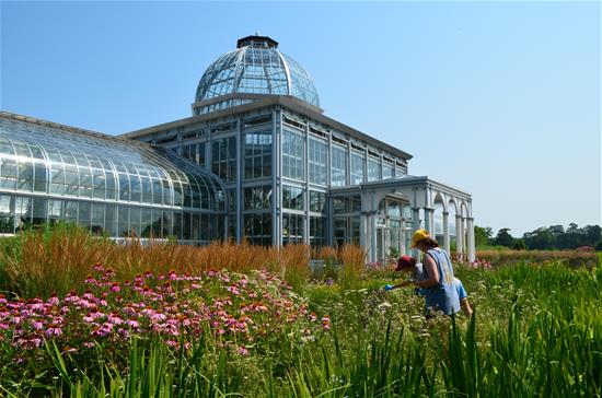 Glass greenhouse in the background with a meadow of wildflowers in the foreground.